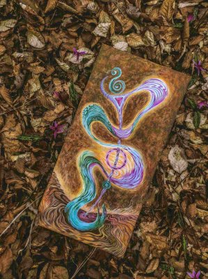 Oronia / Paper &amp; Canvas Print